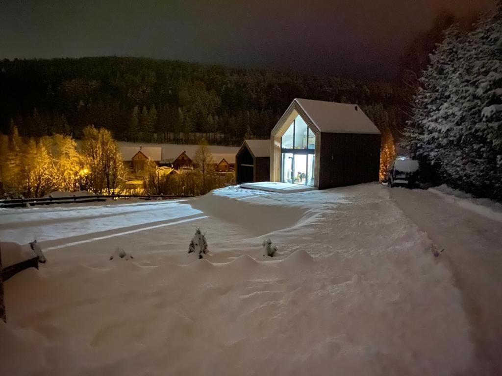 Domki Pod Lasem - Domek Brzozowy Stronie Śląskie Exterior foto